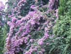 Image 05