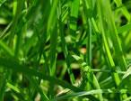 Image 04